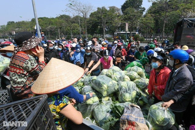 Người dân Hà Nội mua rau củ, hỗ trợ nông dân Hải Dương.