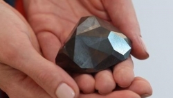 Viên kim cương đen lớn nhất thế giới được bán với giá 4,3 triệu USD