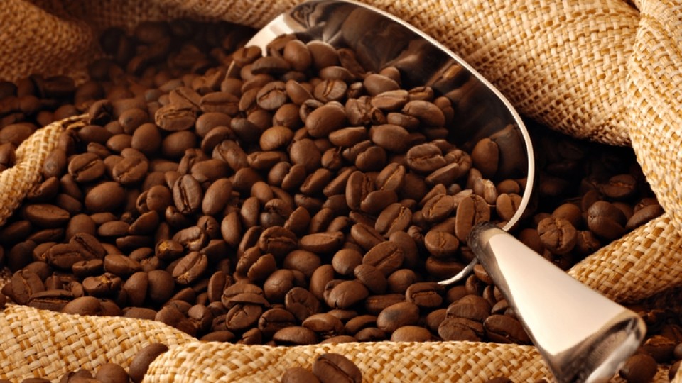 ICO nỗ lực hỗ trợ ngành cà phê trước xu hướng giảm giá