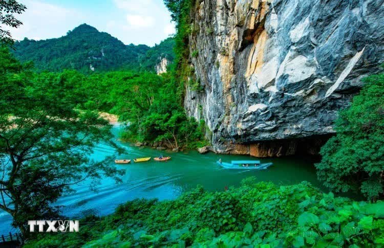 Phong Nha-Kẻ Bàng: Kho báu sinh học chưa được khám phá giữa đại ngàn Trường Sơn