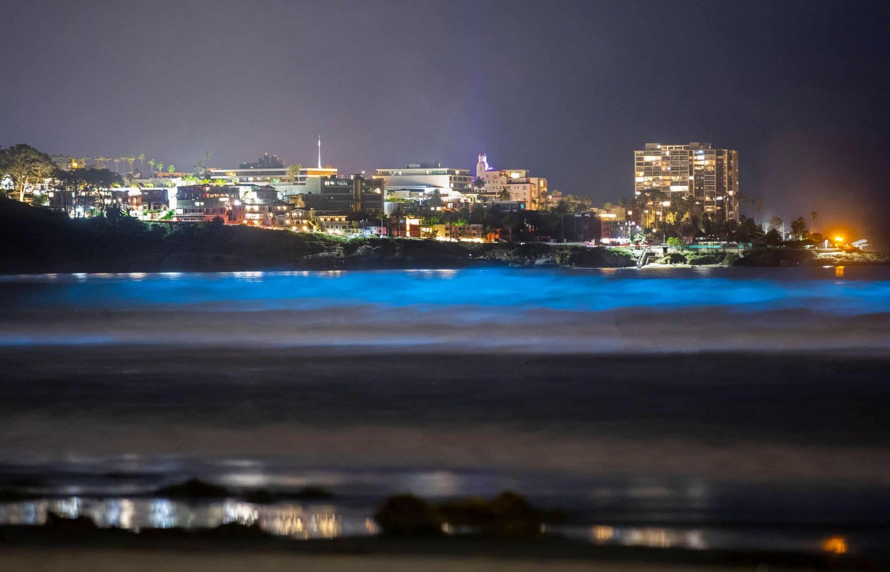 Ngắm sóng phát quang - màn trình diễn ánh sáng kỳ ảo trên bờ biển nước Mỹ