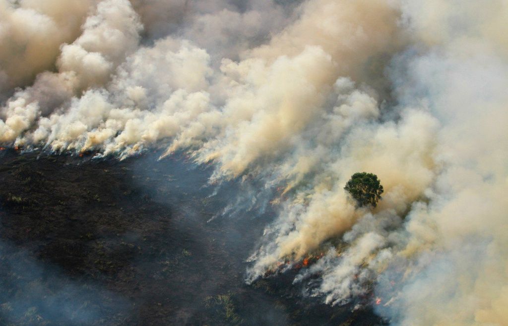 Cháy rừng làm phức tạp công tác dập dịch Covid-19 tại Indonesia