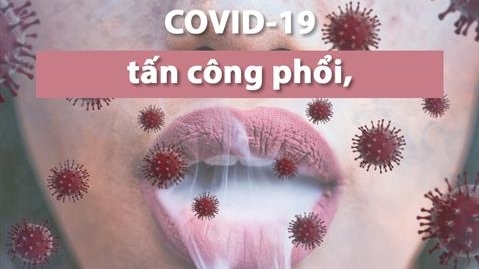 Hàng triệu người muốn bỏ thuốc lá vì lo ngại mắc Covid-19 và đối mặt nguy cơ tử vong