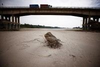 Cảnh tượng hiếm thấy, con sông dài nhất Italy cạn trơ đáy do hạn hán tồi tệ nhất trong 70 năm