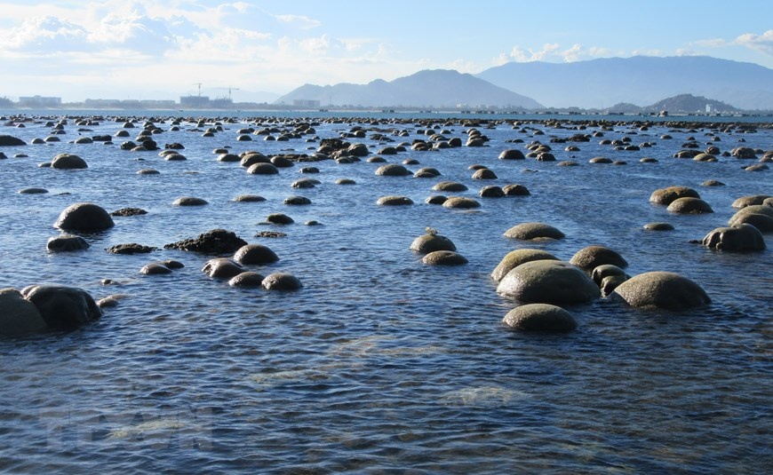 Chiêm ngưỡng bãi rạn san hô -'kho báu' lộ thiên ở biển Ninh Thuận