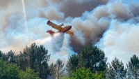 Châu Âu 'vật lộn' đối phó với cháy rừng và nắng nóng kinh hoàng