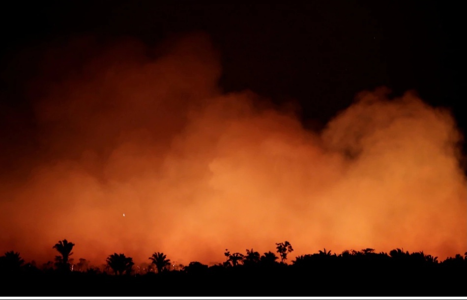 Brazil từ chối nhận viện trợ của G7 để dập cháy rừng Amazon