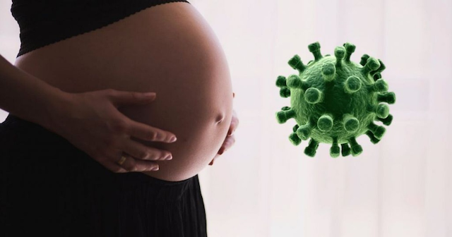 Phụ nữ có thai có nguy cơ cao mắc Covid-19? Đối tượng này có nên tiêm vaccine?