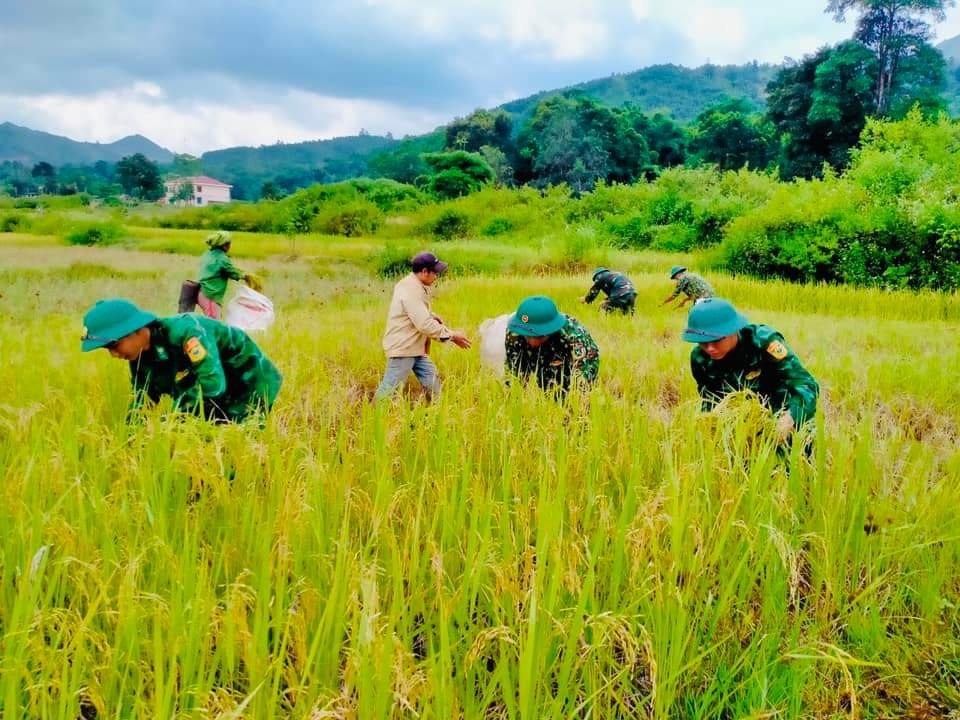 Bộ đội biên phòng Hướng Lập, Quảng Trị hỗ trợ người dân ứng phó với bão Noru