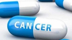 WHO công bố danh mục mới về thuốc thiết yếu, có 4 loại thuốc điều trị ung thư