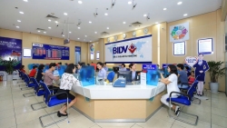 BIDV tiếp tục lọt trong top 10 doanh nghiệp lớn nhất Việt Nam