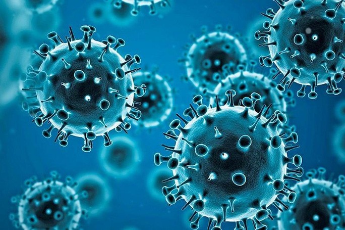 Virus SARS-CoV-2 (Ảnh đồ họa từ WHO)