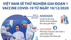 Việt Nam thử nghiệm giai đoạn 1 vaccine Covid-19 từ ngày 10/12
