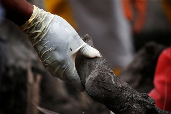 Trong ảnh: Nhân viên cứu hộ cầm lấy bàn chân của một nạn nhân bị chôn vùi trong tro núi lửa. (Nguồn: Reuters)