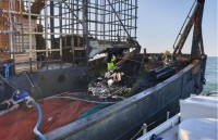 national steering committee on iuu fishing prevention set up