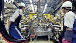 Foreign expert positive about FDI to Viet Nam
