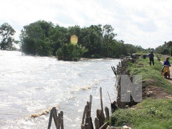 Workshop talks Mekong Delta’s sustainable development