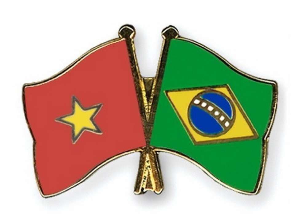 vietnam strengthens partnership with brazil