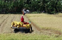 us toy producers plan to move operations to vietnam