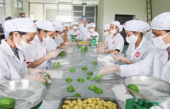 Agro processing gets tidal wave of investment