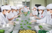 Agro processing gets tidal wave of investment
