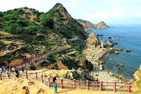 more russians indians visit vietnam in 2019