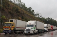 cambodia applies temporary closure of border with vietnam