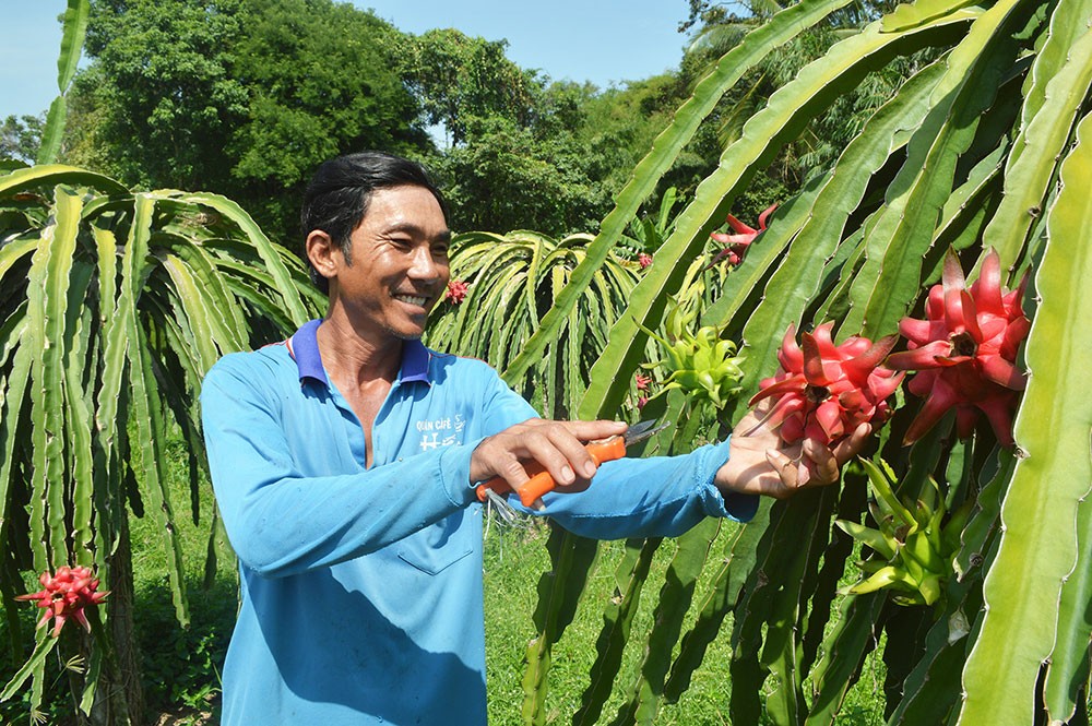 Farmers urged to use high-tech practices to enter global value chains