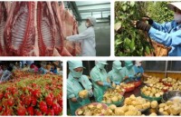 Farm produce exports face RoK’s rigid rules