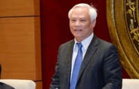 vietnam takes part in solidarity festival in belgium