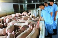 govt demands measures to prevent outbreak of infectious coronavirus