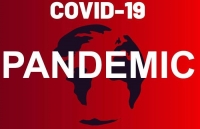 covid 19 in vietnam four more cases positive for sars cov 2 raising total to 53