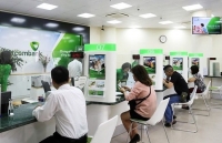 vietnamese economy stays resilient to external shocks wb