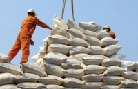 Ministry of Industry and Trade proposes resuming rice exports