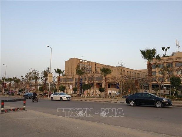 ambassador tran thanh cong vietnamese in egypt stay united amid covid 19 pandemic