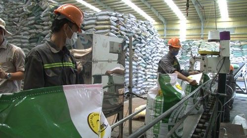 evfta to grow vietnams fertilizer industry experts