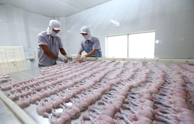 world bank advises vietnam on maximizing benefits of evfta