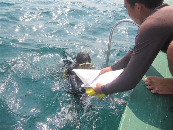 ecosystem of cham islands recovers after covid 19 pandemic
