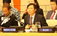 Vietnam backs building of stable cyberspace: Ambassador Dang Dinh Quy
