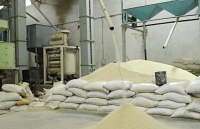 evfta paves the way for vietnam to join new supply chains post covid 19