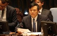 vietnam co chairs debate on protecting environment in armed conflicts