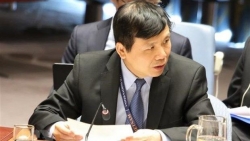 Vietnam calls for increased humanitarian relief to Palestinians