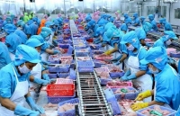 Vietnam striving to boost export growth over remainder of 2020