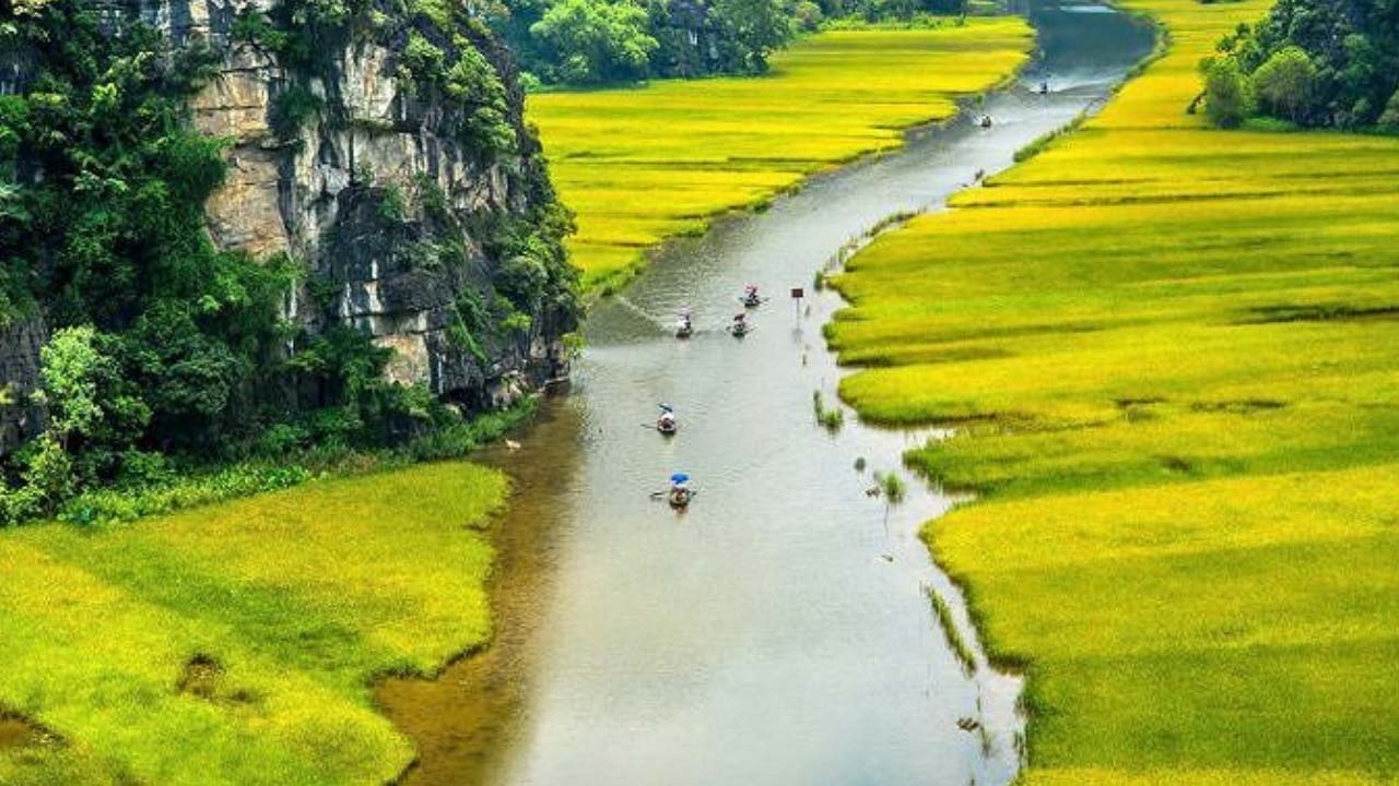 Vietnam’s agriculture to be world’s top 15 most developed