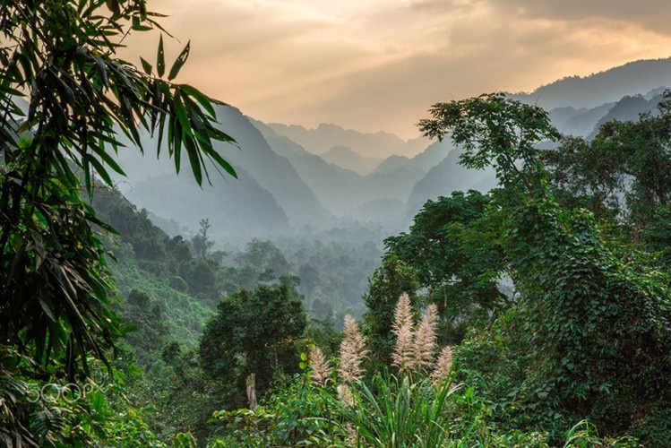 majestic phong nha ke bang national park through lens of foreign photographer