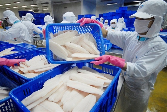 Seafood exports to go up by 10 percent in Q2