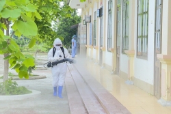 Vietnam reports one new imported COVID-19 infection, total cases reached 333