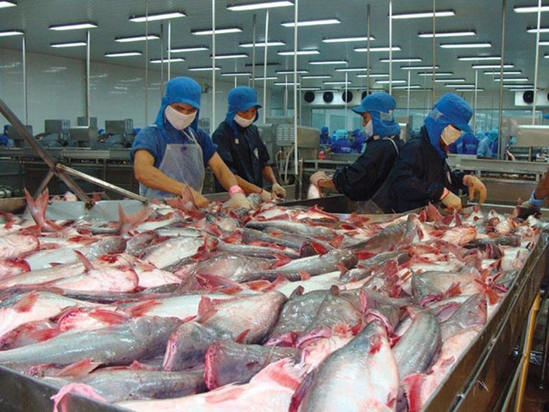 4154 thuy san vinh hoan dang lam gi voi collagen tu ca tra 24 3760