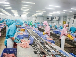 Vietnam, China businesses hold online conference on farm produce