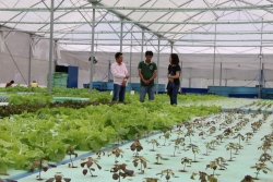 Japanese ngo funds organic agriculture project in dong thap